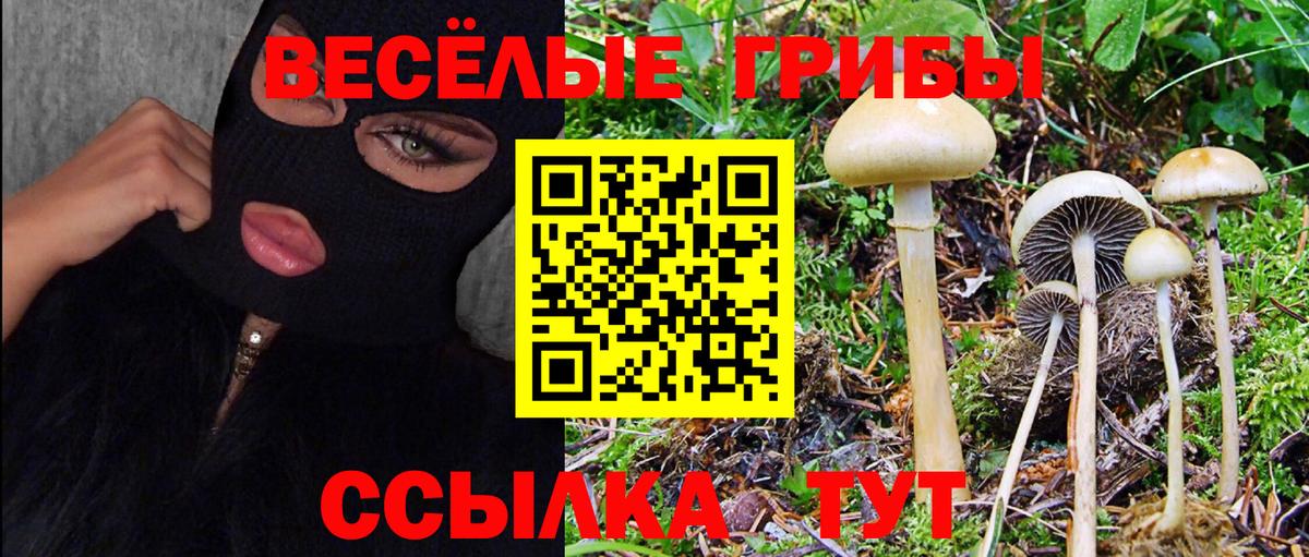 Галлюциногенные грибы мицелий Беслан