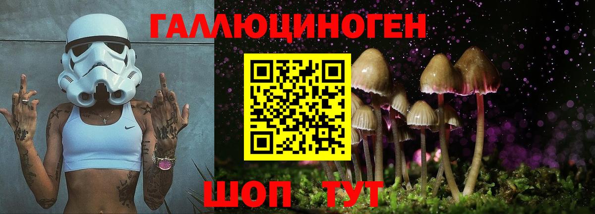 Беслан  Псилоцибиновые грибы Psilocybe  Вход с VPN  Галлюциногенные грибы MAGIC MUSHROOMS 